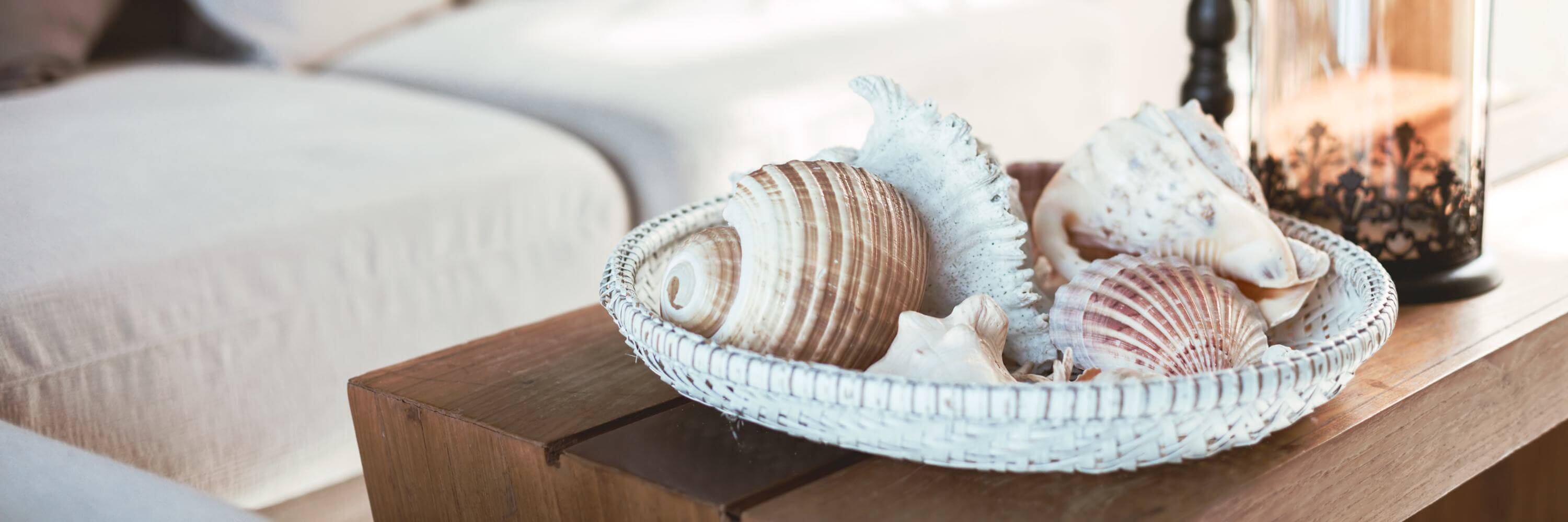 A decorative bowl filled with sea shells 