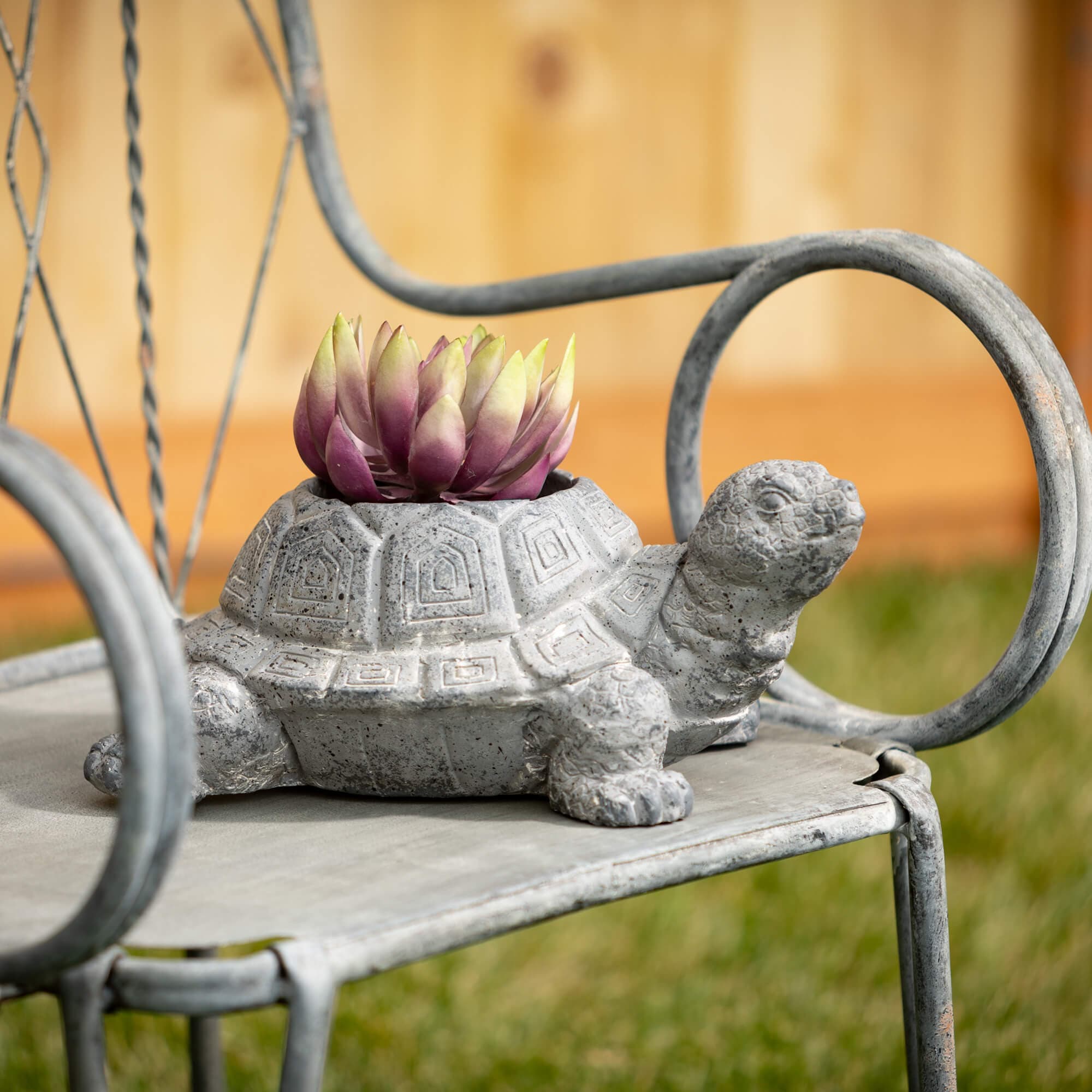 Charcoal Tortoise Planter Elevate Home Decor - Outdoors