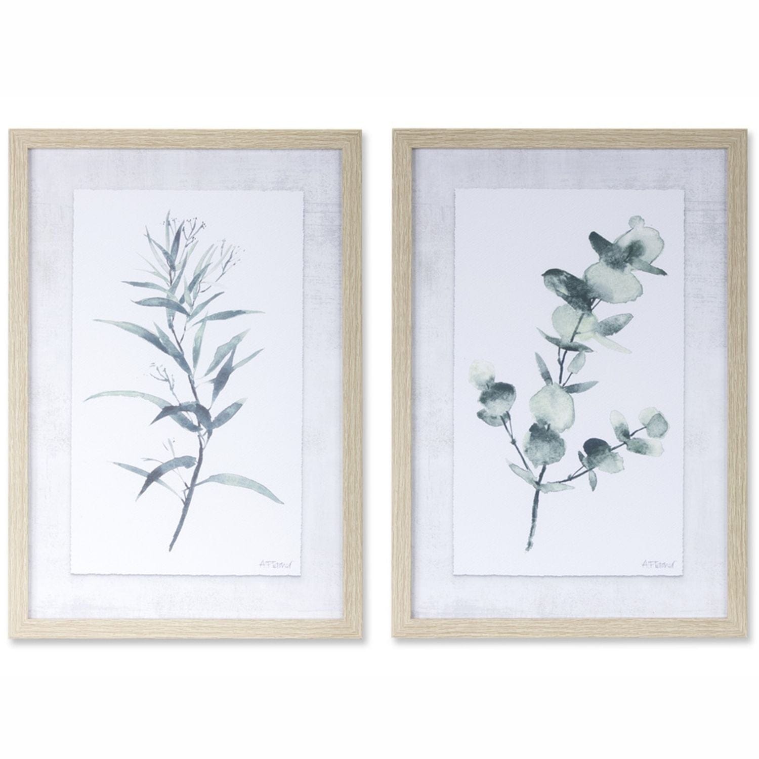 Framed Eucalyptus Plant Prints Set Melrose - Wall Decor