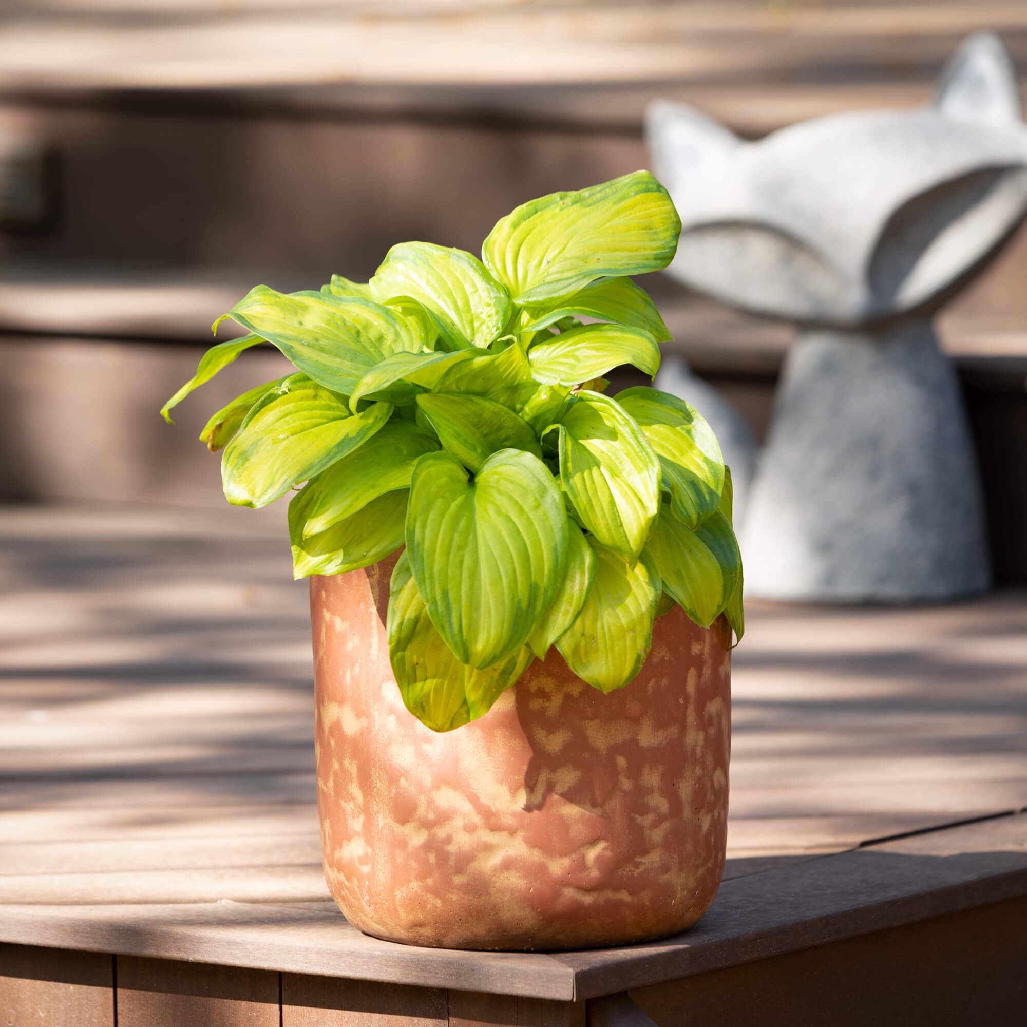 Mottled Rust Cement Planters Trio Elevate Home Decor - Outdoors