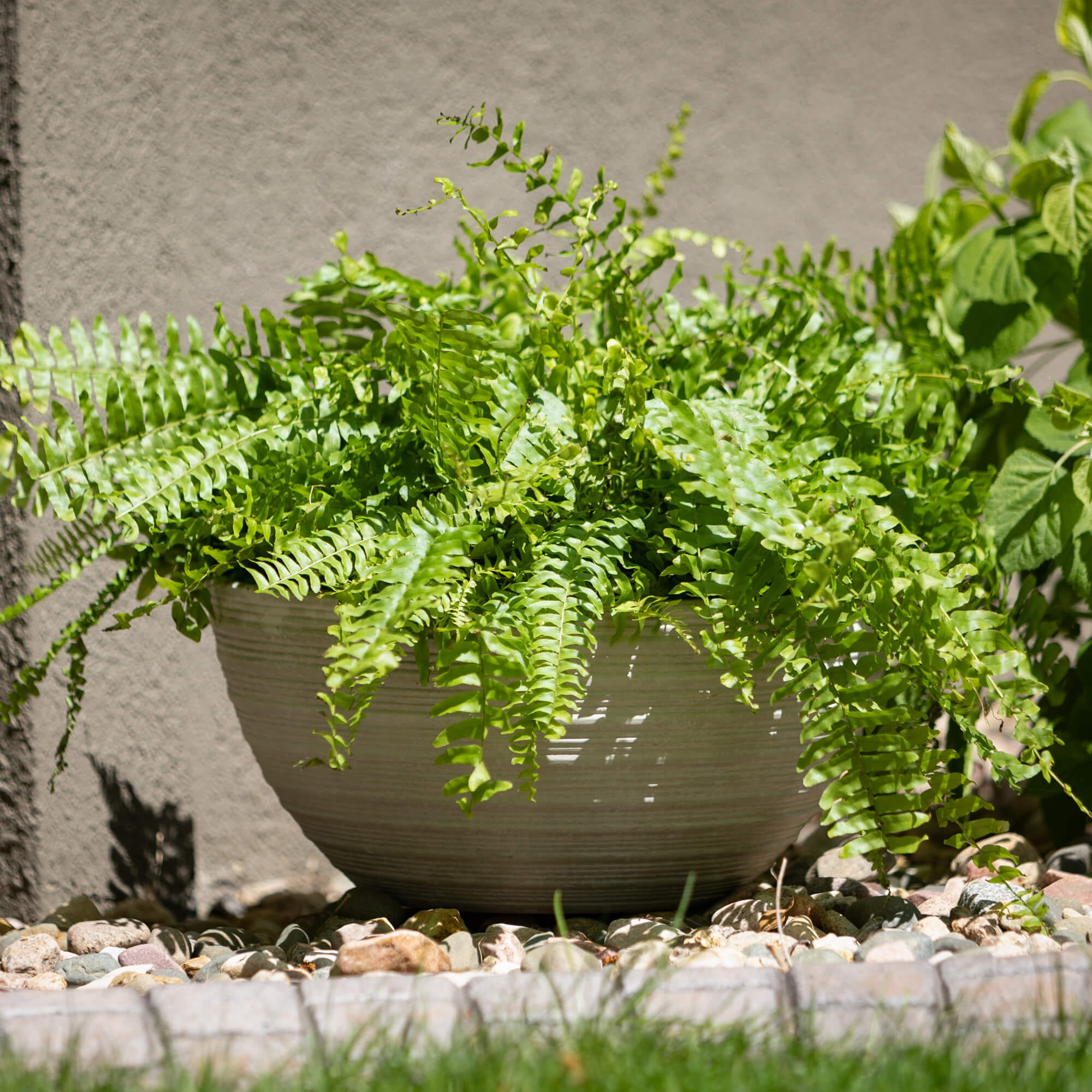 Ribbed Charcoal Bowl Cement Planters Elevate Home Decor - Outdoors
