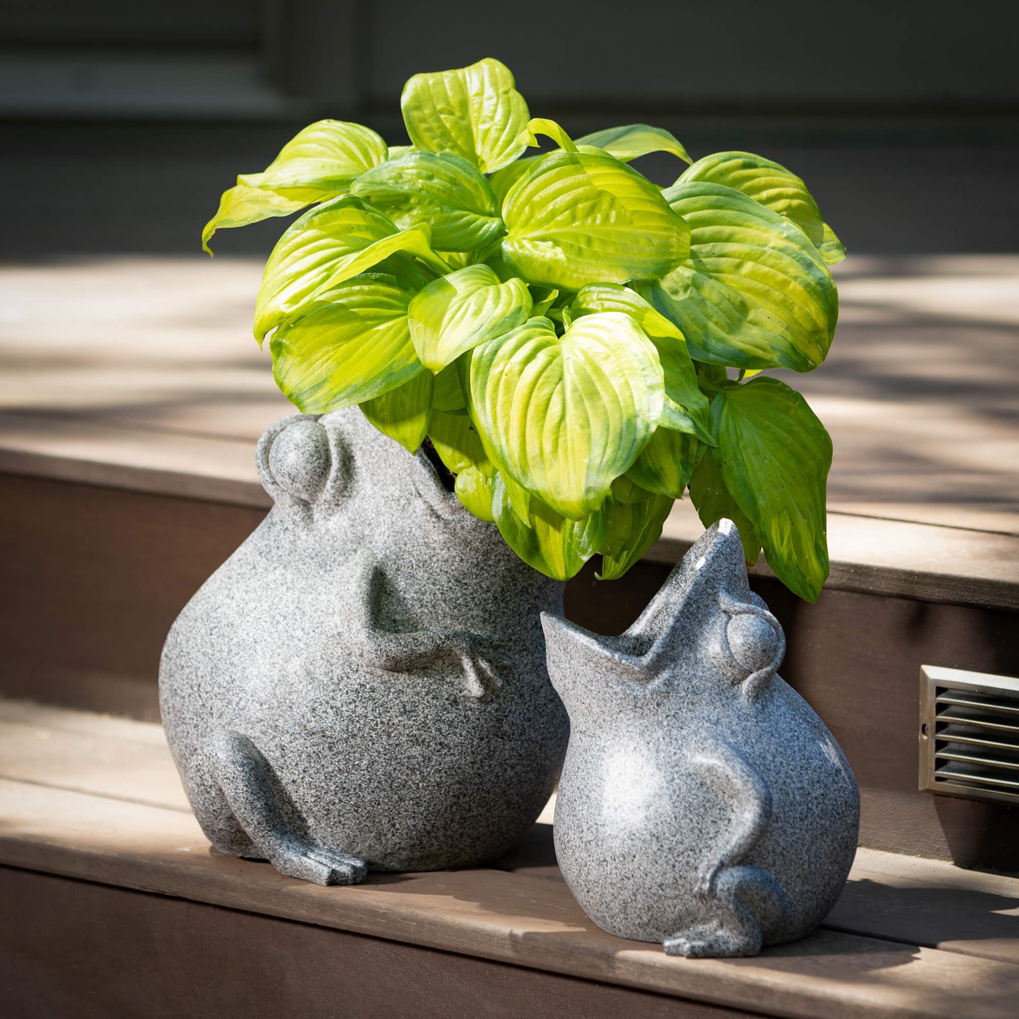 Tongue-In-Cheek Frog Planters Elevate Home Decor - Outdoors